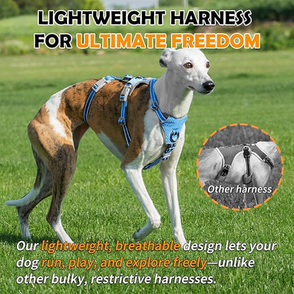 Huntboo Escape Proof Dog Harness – No Pull, No Slip, Fully Reflective, Adjustable 7-Point Design for Small, Medium, and Large Dogs – Lightweight for Outdoor Training & Hiking (Sea Blue, S)
