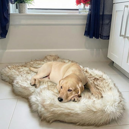 IHAPPYDOG Luxury Faux Fur Orthopedic Dog Bed, Memory Foam Dog Bed for Small, Medium, Large and XL Pets, Fluffy Pet Rug with Waterproof and Washable Cover (White w/Brown Tips, 40"x25")