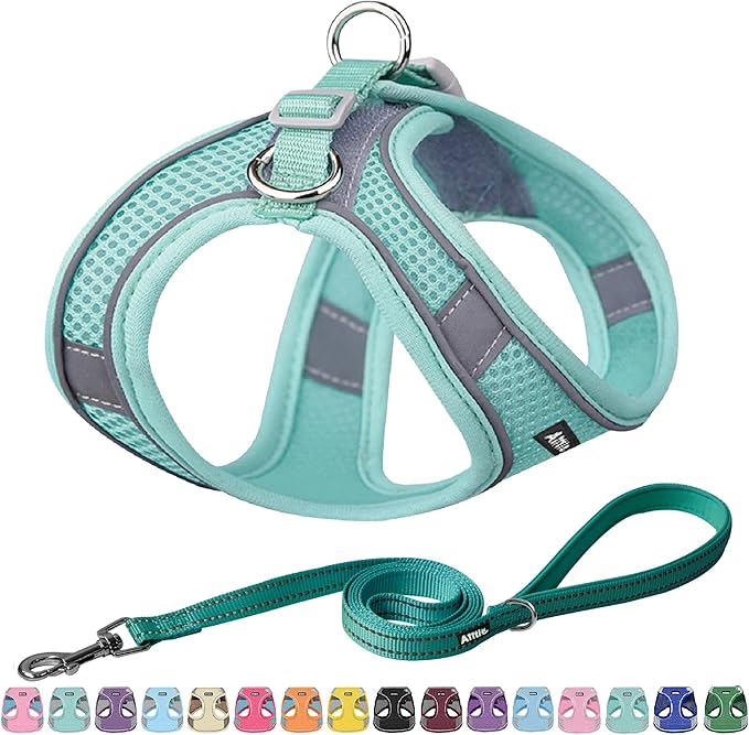 AIITLE Dog Harness, No-Pull Cat Harness with a Leash, Adjustable Reflective Dog Vest, Cat Harness Escape Proof, Outdoor Walking, Running for Extra Small Dogs and House Cats Pure Turquoise XXXS