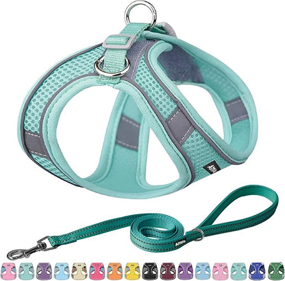 AIITLE Dog Harness, No-Pull Cat Harness with a Leash, Adjustable Reflective Dog Vest, Cat Harness Escape Proof, Outdoor Walking, Running for Extra Small Dogs and House Cats Pure Turquoise XXXS