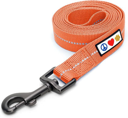 Pawtitas Coral Dog Leash 6 ft M/L Reflective Durable Lightweight Recycled Lead for Medium or Large Dogs and Puppies