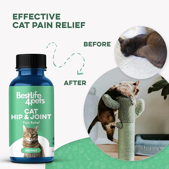 Cat Joint Supplement and Mobility Support - Natural Plant-Based Formula Provides Comfort for Aging and Felines with Mobility Challenges, 400 Tiny Tasteless Pills Easy to Give Even Feral or Picky Cats