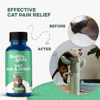 Cat Joint Supplement and Mobility Support - Natural Plant-Based Formula Provides Comfort for Aging and Felines with Mobility Challenges, 400 Tiny Tasteless Pills Easy to Give Even Feral or Picky Cats