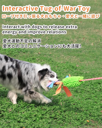 SCHITEC Tug Toy for Dogs, Bungee Tug of War Rope Toys with Squeaky Sound for Small Medium Large Dog, Puppy Training Pull Toy for Exercise & Interactive Play Games
