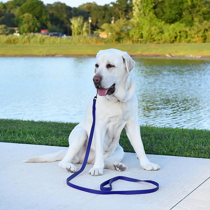 Dogline Biothane Waterproof Dog Leash Strong Coated Nylon Webbing with Black Hardware Odor-Proof Easy to Clean High Performance for Small or Large Dogs Made in USA 2 ft Lead, Blueberry Royal