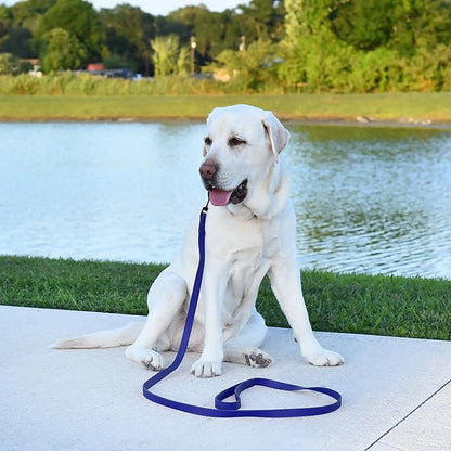 Dogline Biothane Waterproof Dog Leash Strong Coated Nylon Webbing with Black Hardware Odor-Proof Easy to Clean High Performance for Small or Large Dogs Made in USA 4 or 6 ft Lead, Blueberry Royal