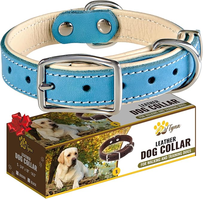ADITYNA Heavy-Duty Leather Dog Collar for Small Dogs - Soft Padded for Comfort - Blue Dog Collar for Walking, Training, and Hiking