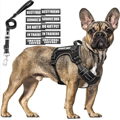 MOOGROU Tactical Dog Harness and Leash Set Medium Sized Dog,Heavy Duty No Pull Service Dog Vest and 10 Patches with Dog Seat Belt,Reflective Adjustable Pet Harness for Training Walking Hiking Black M