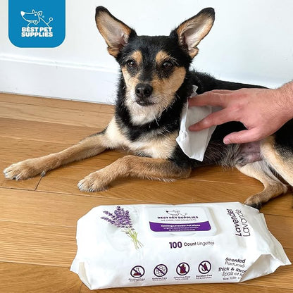 Best Pet Supplies Pet Wipes for Dogs - Dog Wipes Cleaning Deodorizing, for Coats, Ears, Paws - Cleansing Tea Tree, 100 Count