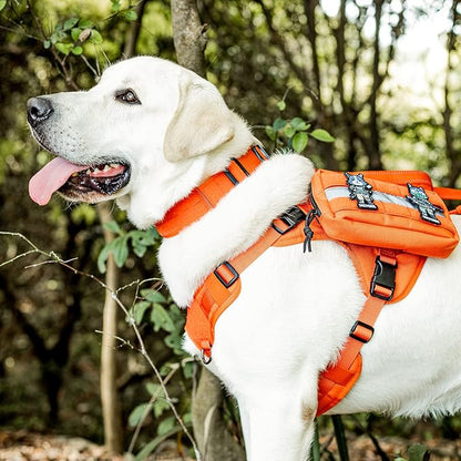 OneTigris Tough Dog Collars, Tactical Dog Collar with Handle, Milltary Adjustable Dog Collar with Heavy Duty Metal Buckle for Training (Large(Pack of 1), Orange)