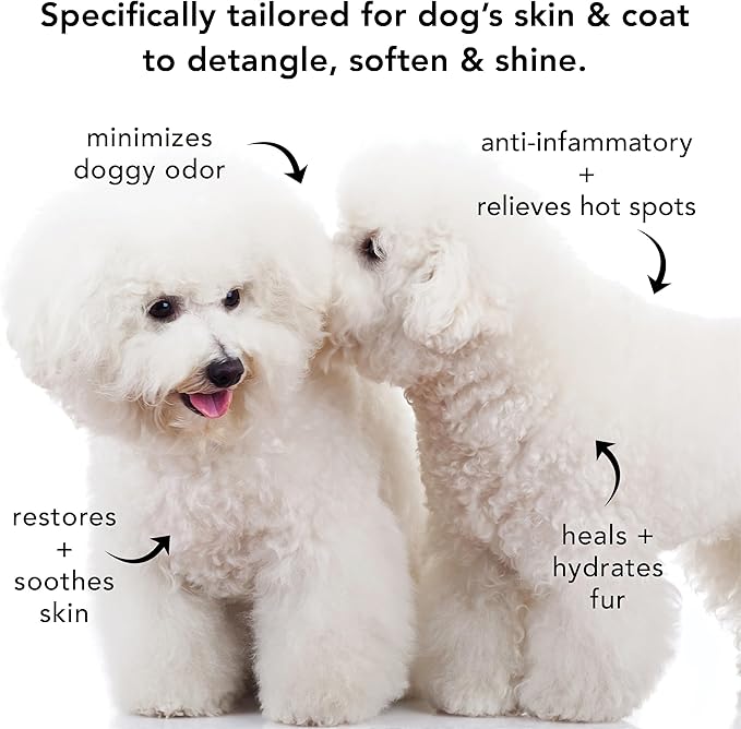 Pride and Groom The Non Shedder Box Set – Dog Shampoo & Conditioner with All Natural Blend of Essential Oils & Ingredients to Heal and Nourish for Long Lasting Shine & Manageability – 32oz