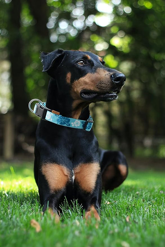 Dog Collar, Cute Floral Pattern, Neoprene Padded and Adjustable Collar with Quick Release Buckle, Reinforced Structure (L (Neck 18-28", Width 1"), Hawaiian Blue)