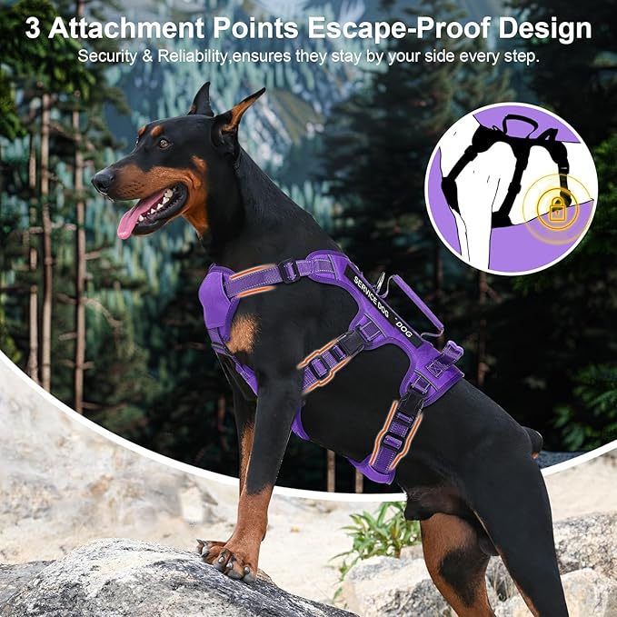 Escape Proof Dog Harness for Large Medium Sized Dogs Six Point Adjustable, Service Dog Vest Harness and Leash Set, No Pull Dogs Harnesses with Handle, Medium Dog Harnesses for Walking(Purple, S)
