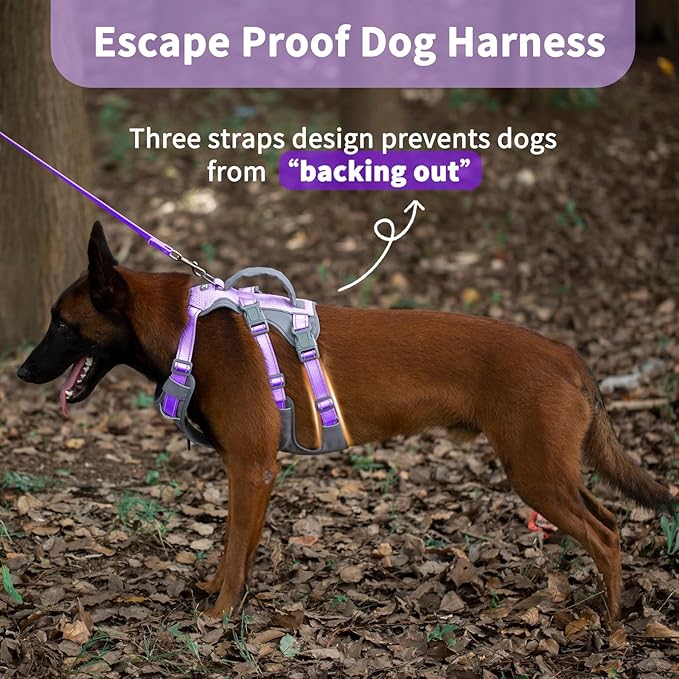 Huntboo Reflective Dog Harness with Handle, Escape Proof, No Slip, Breathable, Lightweight, Adjustable Lift Harness for Small,Medium,and Large Dogs Walking,Training,and Running Gear(Lavender Purple,M)