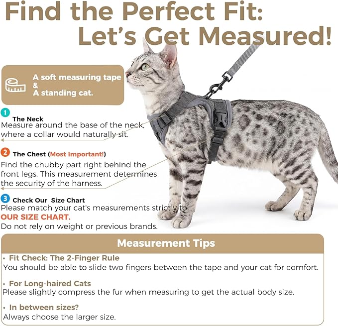 pangdi Cat Harness and Leash Set Escape Proof Tactical Small Kitten Harness Emotional Support Cat Vest, Grey, S