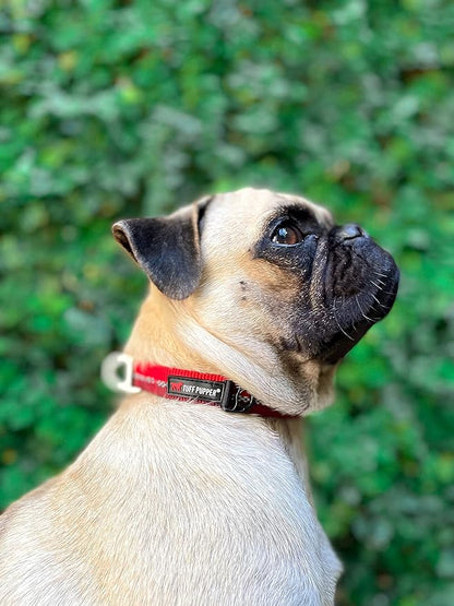 Tuff Pupper Heavy Duty Dog Collar | Tough Dogs Collar | Reflective Collars with Aluminum D-Ring Leash Clip | Separate ID Tag Attachment Keeps Engraved Dog Tags Quiet | Easy Sizing for All Breeds