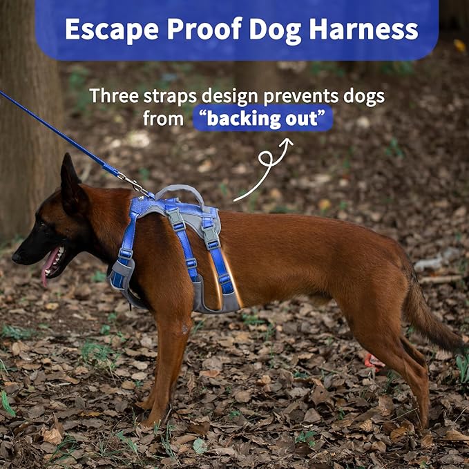 Huntboo Reflective Dog Harness with Handle, Escape Proof, No Slip, Breathable, Lightweight, Adjustable Lift Harness for Small, Medium, and Large Dogs Walking, Training, and Running Gear(Sea Blue,M)