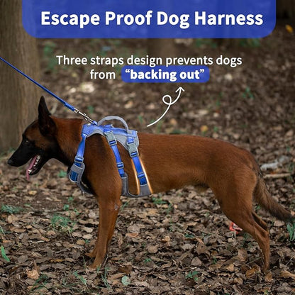 Huntboo Reflective Dog Harness with Handle, Escape Proof, No Slip, Breathable, Lightweight, Adjustable Lift Harness for Small, Medium, and Large Dogs Walking, Training, and Running Gear(Sea Blue,M)