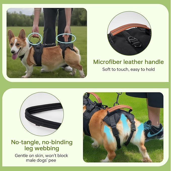 Dog Lift Harness for Male Dogs - 2-in-1 Full Body Support Aid & Sling, Comfortable & Chafe-Free for Post-Surgery Recovery and Elderly Dog Mobility, Hind Leg Assistance, Supports up to 27 Lbs (S)