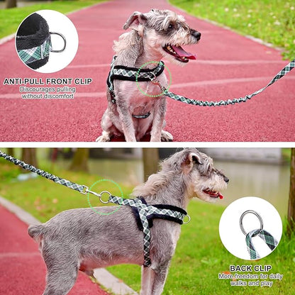 BEAUTYZOO No Pull Small Dog Harness and Leash Set, Soft Puppy Vest Harness with Handle Escape Proof & Easy Walk, Lightweight Dog Winter Harness Chest Adjustable for Girl Boy Dogs Max 7 lbs, Green XXS