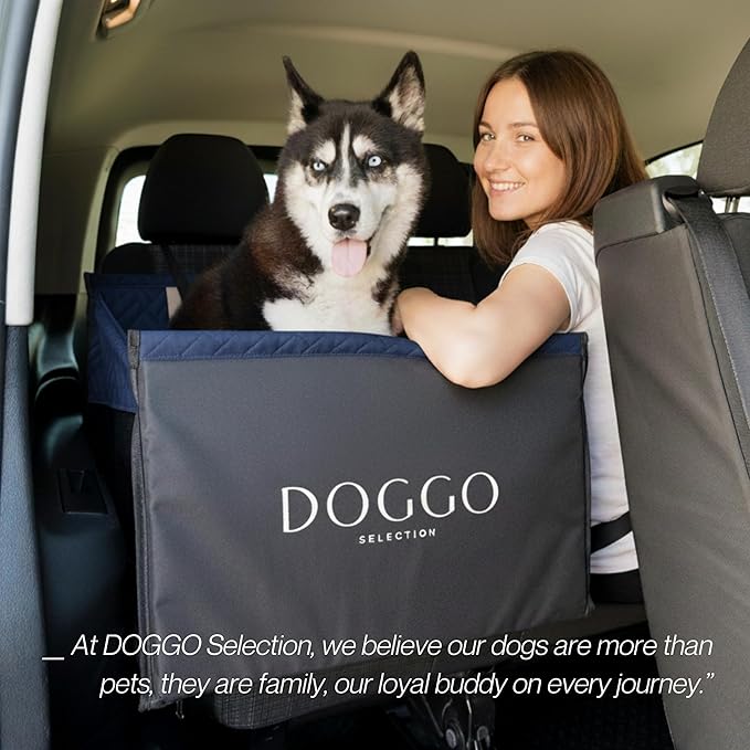 Premium Dog Car Seat & Back Seat – Waterproof & Non-Slip Travel Hammock with Storage Pockets | Secure & Comfortable Pet Seat Cover for Large & Medium Dogs – Fits Cars, SUVs & Trucks (Blue)