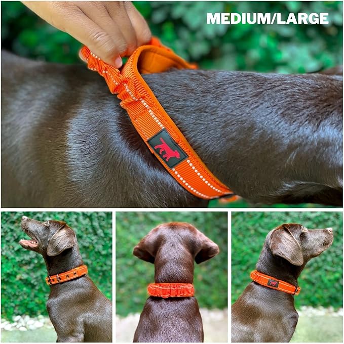 Tuff Pupper Heavy Duty Dog Collar with Handle | Ballistic Nylon Heavy Duty Collar | Padded Reflective Dog Collar with Adjustable Stainless Steel Hardware | Convenient Sizing for All Breeds