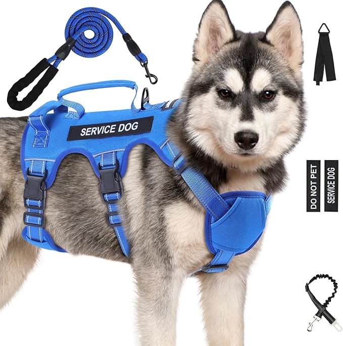 Escape Proof Dog Harness for Large Medium Sized Dogs Six Point Adjustable, Service Dog Vest Harness and Leash Set, No Pull Dogs Harnesses with Handle, XL Dog Harnesses for Walking(Blue, L)