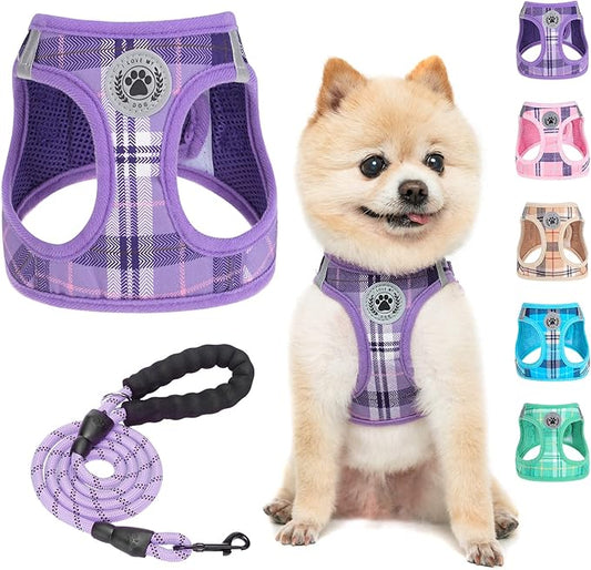 BEAUTYZOO Small Dog Harness and Leash Set,Step in No Choke No Pull Soft Mesh Dog Harnesses Reflective for Extra-Small Medium Puppy Dogs and Cats, Plaid Dog Vest Harness for XS S Pets, Purple XS