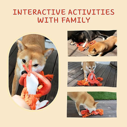 Pawfoo Lab Squeaky Dog Toys, Rope Tug of War Dog Toys, Interactive Lobster Plush Chew Toys, Dog Gifts for Puppy, Small Medium Large Dogs