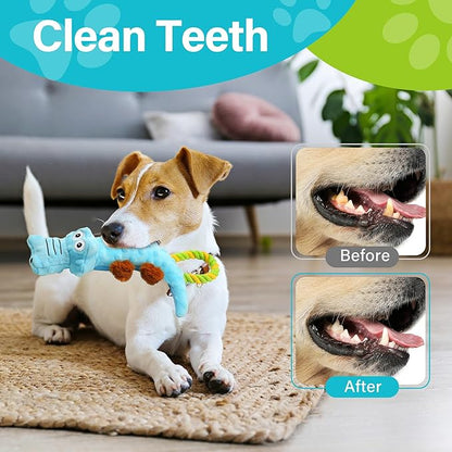 Prime Pets Dog Squeaky Toy, 2 Pack, Tug of War Plush Dog Toys for Small Medium Large Dogs, Stuffed Pet Toys, Interactive Puppy Chew Toy