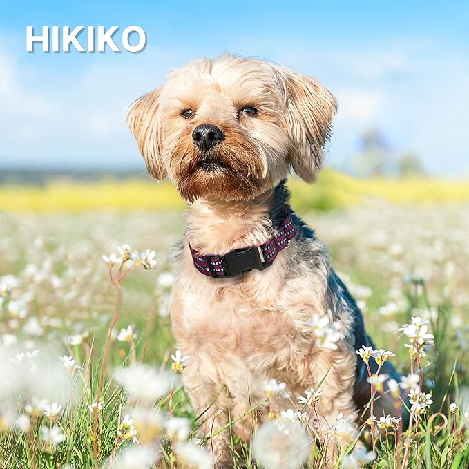 Hikiko Martingale Dog Collars Reflective Nylon Dog Collar with Quick Release Buckle Adjustable Training No Slip Dog Collar (Medium, Burgundy)