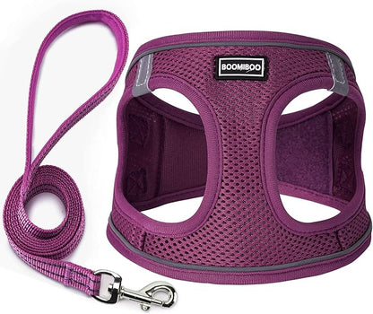 Dog Harness with Leash Set, No Pull Adjustable Reflective Step-in Puppy Pet Vest Harnesses for Small Medium Large Dogs and Cats,Cranberry XXS