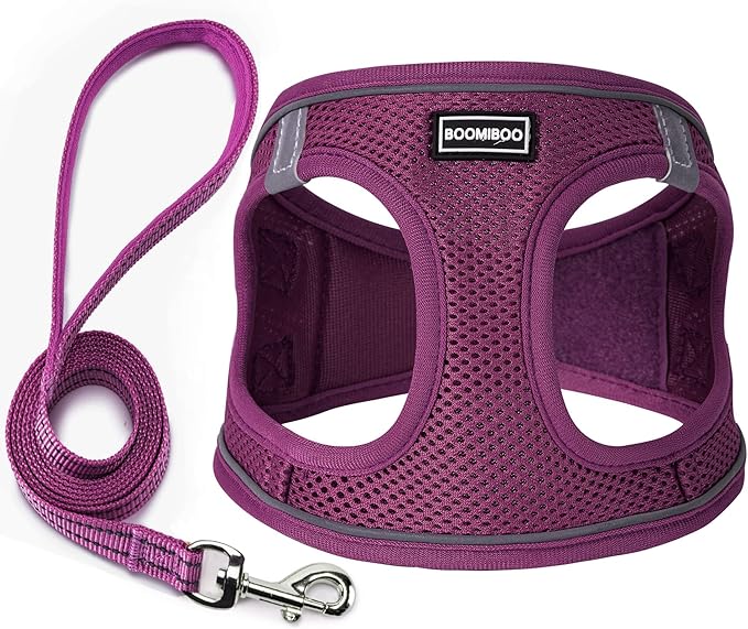 Dog Harness with Leash Set, No Pull Adjustable Reflective Step-in Puppy Pet Vest Harnesses for Small Medium Large Dogs and Cats,Cranberry XL