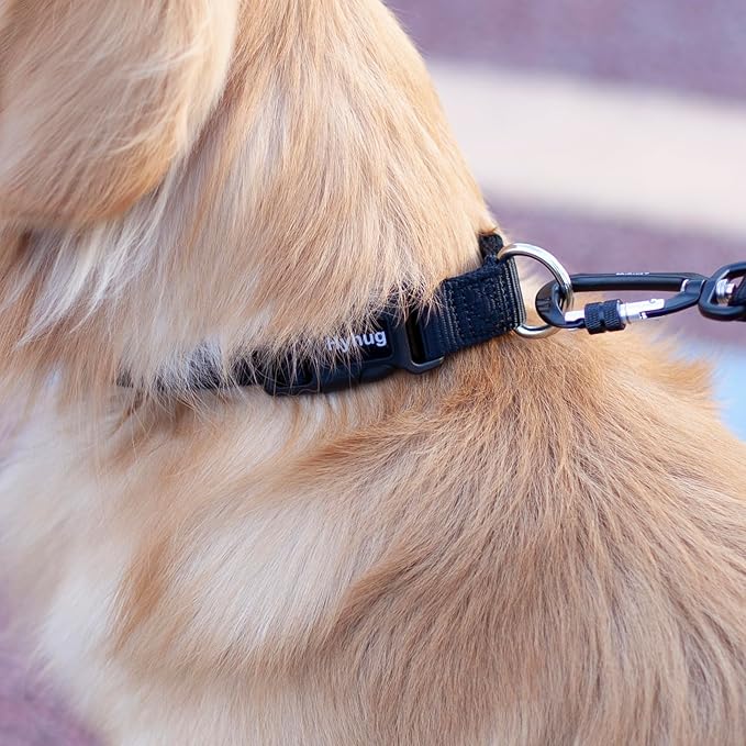 Hyhug Small Dog Collar Quick-Release Black| Heavy-Duty Nylon Puppy Collar, Adjustable & Durable Pet Supplies for Boy & Girl Dogs (Small, Black)