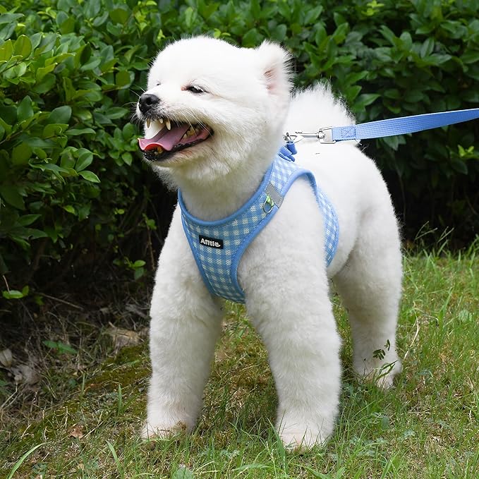 AIITLE No Pull Dog Harness and Leash Set, Step in No Chock Soft Mesh Dog Harnesses Reflective for Extra-Small Puppy Dogs and Cats, Plaid Dog Vest Harness for Pets Blue XXS