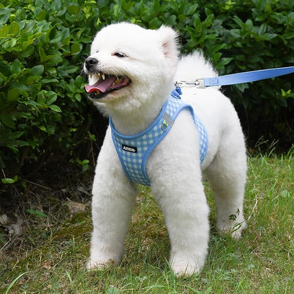 AIITLE No Pull Dog Harness and Leash Set, Step in No Chock Soft Mesh Dog Harnesses Reflective for Extra-Small Puppy Dogs and Cats, Plaid Dog Vest Harness for Pets Blue XXS