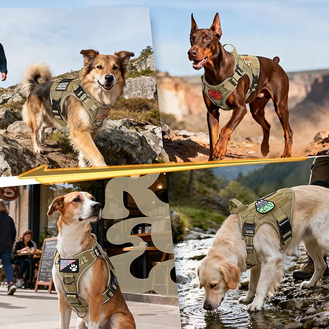 rabbitgoo Tactical Dog Harness Medium Sized, No Pull Upgraded Reflective Heavy Duty Molle Vest with Handle, Adjustable Military Service Dog Vest for Walking Hiking Training, Brown, M