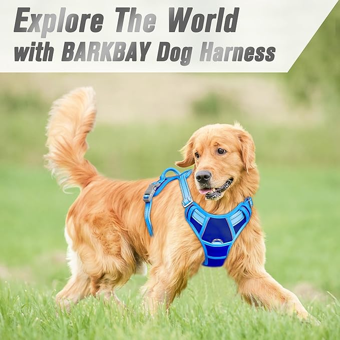 BARKBAY No Pull Dog Harness Front Clip Heavy Duty Reflective Easy Control Handle for Large Dog Walking(Sapphire Blue & Blue,XL)