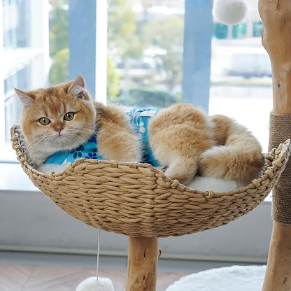 COZYDOODZ Cat Recovery Suit – Soft, Breathable Onesie for Female & Male Pets After Surgery, Spay, Neuter or Wounds, Surgery Outfit, Cone Alternative, Litter Access, Machine Washable, Blue Paw Print