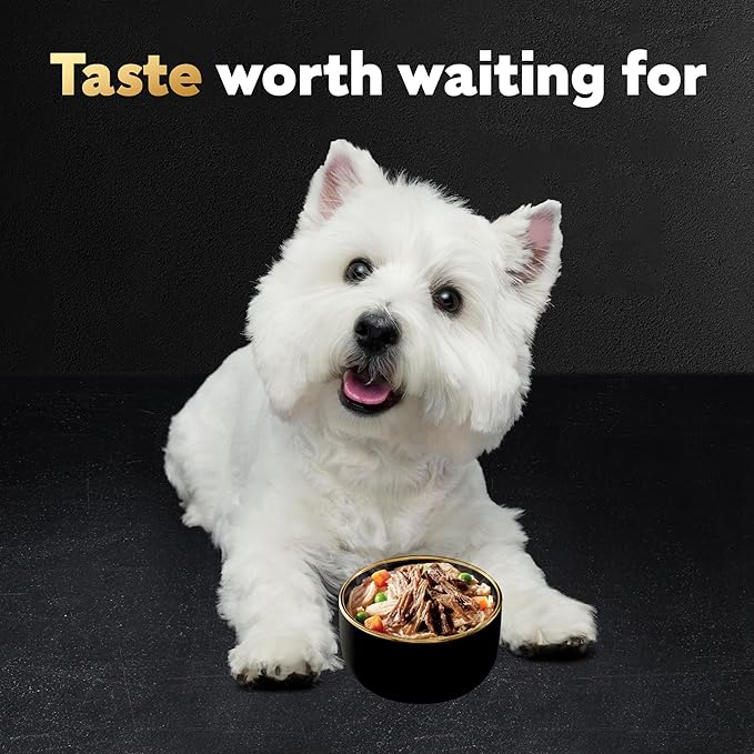Cesar Warm Bowls Wet Dog Food Chicken & Beef Entrée with Vegetables & a Hint of Cranberry in Broth, Wet Food for Dogs, 2.7 oz Bowls, 10 Count