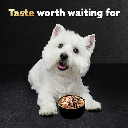Cesar Warm Bowls Wet Dog Food Chicken & Beef Entrée with Vegetables & a Hint of Cranberry in Broth, Wet Food for Dogs, 2.7 oz Bowls, 10 Count