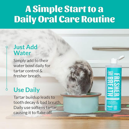 SKOUT'S HONOR Fresher Breath Water Additive for Pets - VOHC Accepted for Tartar Control, Freshens Breath Fast, No Brushing Required: Fresh & Flavorless 16oz - 2 Pack