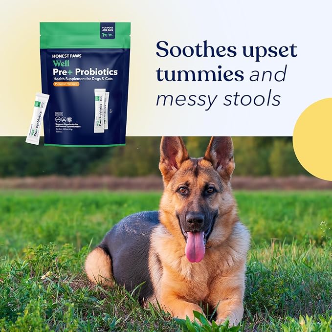 Honest Paws Probiotics for Dogs - Dog Digestion Gut Health Probiotic Powder with Prebiotic Made in The USA, Digestive and Immune Support - Digestive Enzymes with Pumpkin Flavor (30 Sticks)