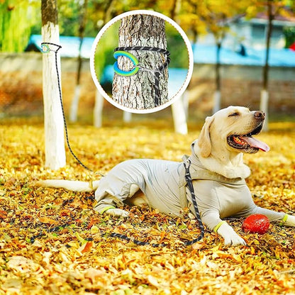 Long Dog Leash for Dog Training 10FT/15FT/20FT/30FT/40FT/50FT/100FT Reflective Leash with 2 Hooks, Heavy Duty Dog Lead for Large Medium Small Dogs Outside Walking Camping Yard,Teal 10FT