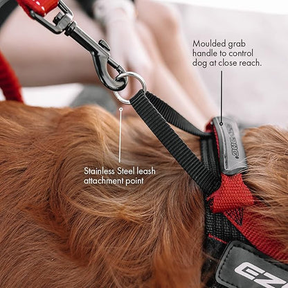 EzyDog Express Dog Harness - Adjustable Dog Harness for Large, Medium, and Small Dogs with Padded Ergonomic Anti-Chafing Design, Grip Handle, & Easy Side Buckle (Gray, XL)