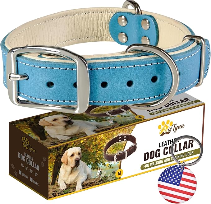 ADITYNA Heavy-Duty Leather Dog Collar for Medium Dogs - Soft Padded for Comfort - Blue Dog Collar for Walking, Training, and Hiking