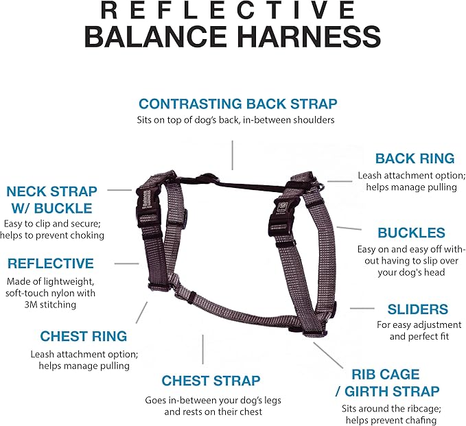 Blue-9 Reflective Buckle-Neck Balance Harness, Fully Customizable Fit No-Pull Harness with 3M Reflective Stitching, Ideal for Dog Training and Obedience, Made in The USA, Grey, Large