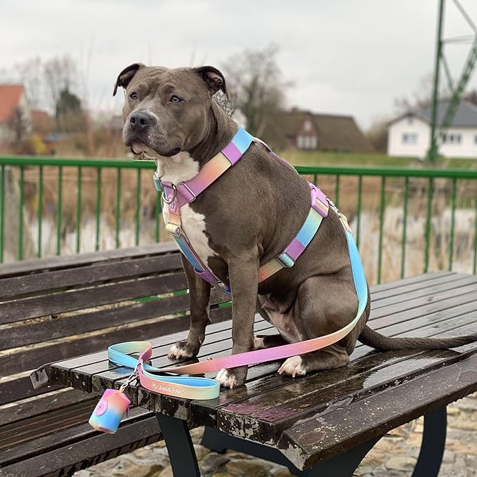 Spark Paws No Pull Dog Harness for Large Dogs, Heavy Duty Dog Harness for Big Strong Breeds, Adjustable, Y Shaped Padded Halter Design with Front Clip - Pastel Icing - L
