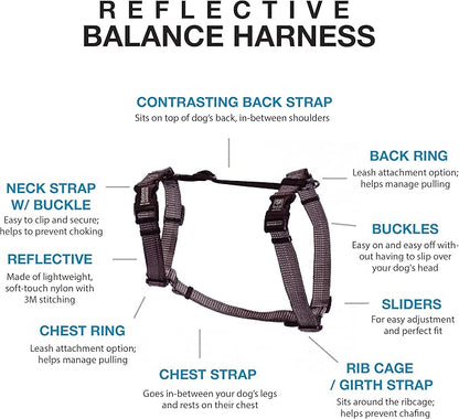 Blue-9 Reflective Buckle-Neck Balance Harness, Fully Customizable Fit No-Pull Harness with 3M Reflective Stitching, Ideal for Dog Training and Obedience, Made in The USA, Grey, Small