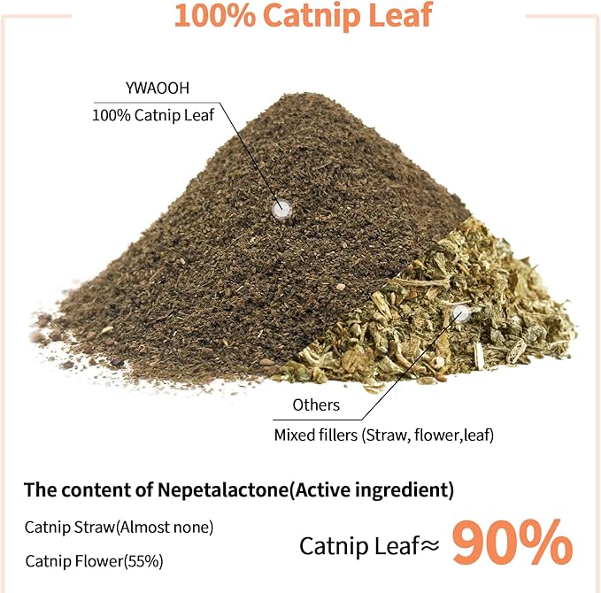 Premium Catnip for Cats & Kittens – Cold-Processed, High Potency Nepetalactone, 100% Pure Organic Leaf-Only Catnip for Toys, Scratchers, Refills, Stimulates Play & Protects Furniture - 15g